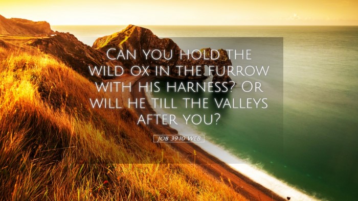 Picture 05 - Job 39:10 WEB Desktop Wallpaper - Can you hold the wild ox in the furrow with his - Desktop Bible Verse Wallpaper