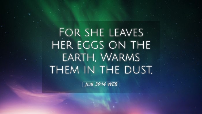 Picture 05 - Job 39:14 WEB Desktop Wallpaper - For she leaves her eggs on the earth, Warms them - Desktop Bible Verse Wallpaper