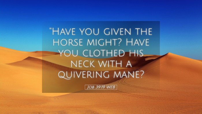 Picture 05 - Job 39:19 WEB Desktop Wallpaper - 