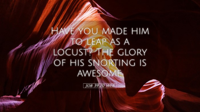 Picture 05 - Job 39:20 WEB Desktop Wallpaper - Have you made him to leap as a locust? The glory - Desktop Bible Verse Wallpaper