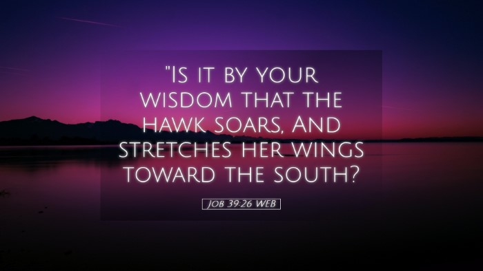 Picture 05 - Job 39:26 WEB Desktop Wallpaper - 