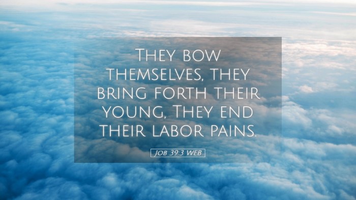 Picture 05 - Job 39:3 WEB Desktop Wallpaper - They bow themselves, they bring forth their - Desktop Bible Verse Wallpaper