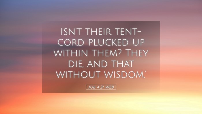 Picture 05 - Job 4:21 WEB Desktop Wallpaper - Isn't their tent-cord plucked up within them? - Desktop Bible Verse Wallpaper