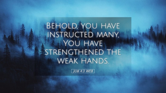 Picture 05 - Job 4:3 WEB Desktop Wallpaper - Behold, you have instructed many, You have - Desktop Bible Verse Wallpaper