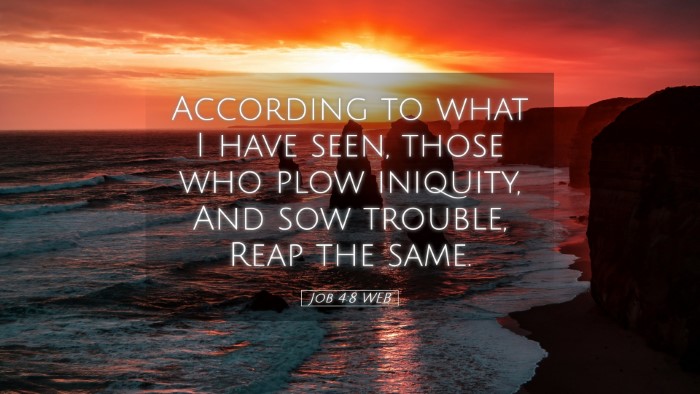 Picture 05 - Job 4:8 WEB Desktop Wallpaper - According to what I have seen, those who plow - Desktop Bible Verse Wallpaper