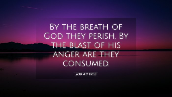 Picture 05 - Job 4:9 WEB Desktop Wallpaper - By the breath of God they perish, By the blast of - Desktop Bible Verse Wallpaper