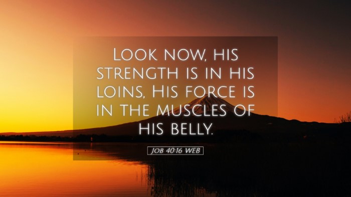 Picture 05 - Job 40:16 WEB Desktop Wallpaper - Look now, his strength is in his loins, His force - Desktop Bible Verse Wallpaper