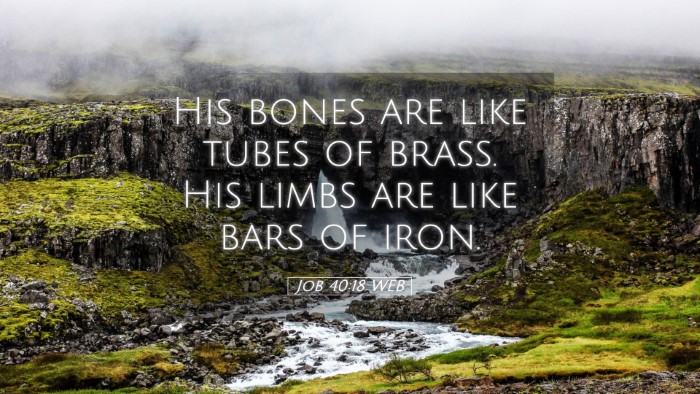 Picture 05 - Job 40:18 WEB Desktop Wallpaper - His bones are like tubes of brass. His limbs are - Desktop Bible Verse Wallpaper