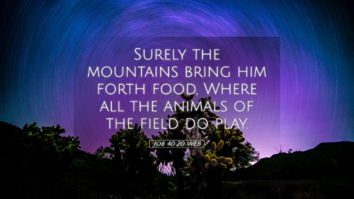 Picture 05 - Job 40:20 WEB Desktop Wallpaper - Surely the mountains bring him forth food, Where - Desktop Bible Verse Wallpaper