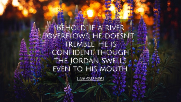 Picture 05 - Job 40:23 WEB Desktop Wallpaper - Behold, if a river overflows, he doesn't tremble. - Desktop Bible Verse Wallpaper