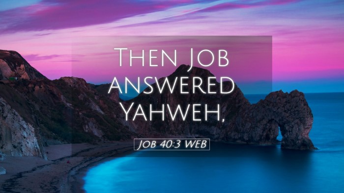 Picture 05 - Job 40:3 WEB Desktop Wallpaper - Then Job answered - Desktop Bible Verse Wallpaper