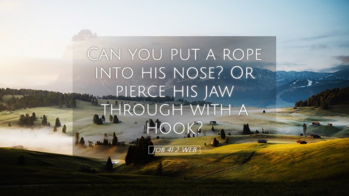 Picture 05 - Job 41:2 WEB Desktop Wallpaper - Can you put a rope into his nose? Or pierce his - Desktop Bible Verse Wallpaper