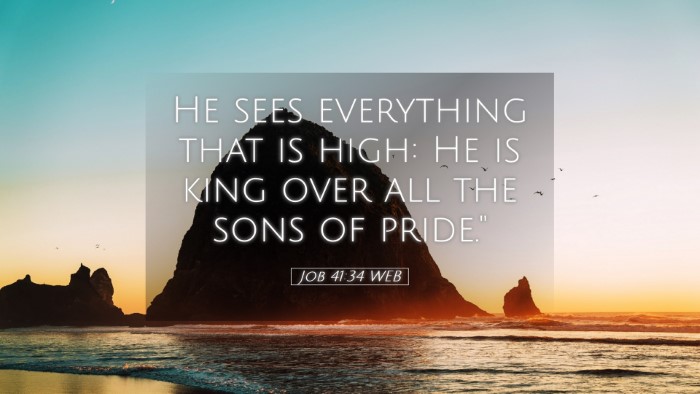 Picture 05 - Job 41:34 WEB Desktop Wallpaper - He sees everything that is high: He is king over - Desktop Bible Verse Wallpaper