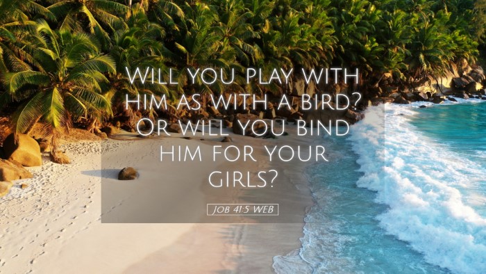 Picture 05 - Job 41:5 WEB Desktop Wallpaper - Will you play with him as with a bird? Or will - Desktop Bible Verse Wallpaper