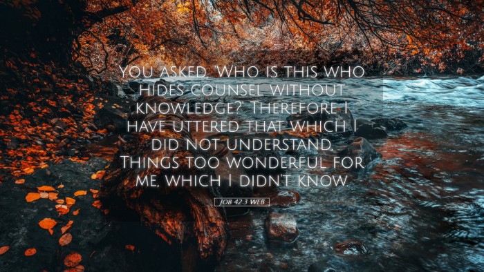 Picture 05 - Job 42:3 WEB Desktop Wallpaper - You asked, 'Who is this who hides counsel without - Desktop Bible Verse Wallpaper