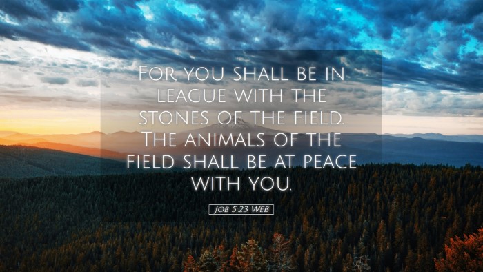 Picture 05 - Job 5:23 WEB Desktop Wallpaper - For you shall be in league with the stones of the - Desktop Bible Verse Wallpaper