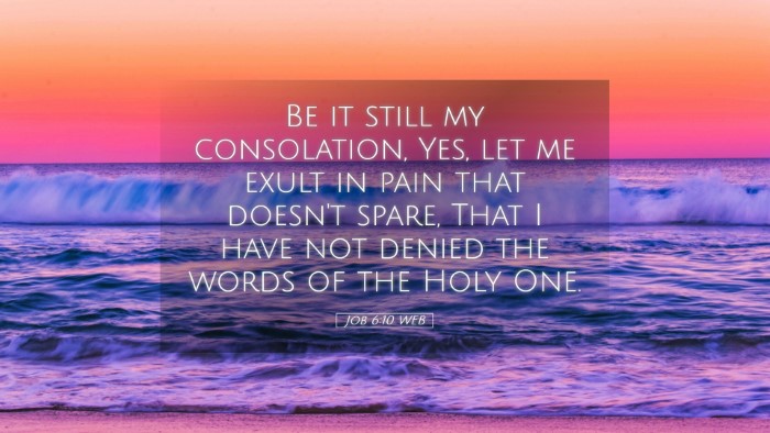 Picture 05 - Job 6:10 WEB Desktop Wallpaper - Be it still my consolation, Yes, let me exult in - Desktop Bible Verse Wallpaper