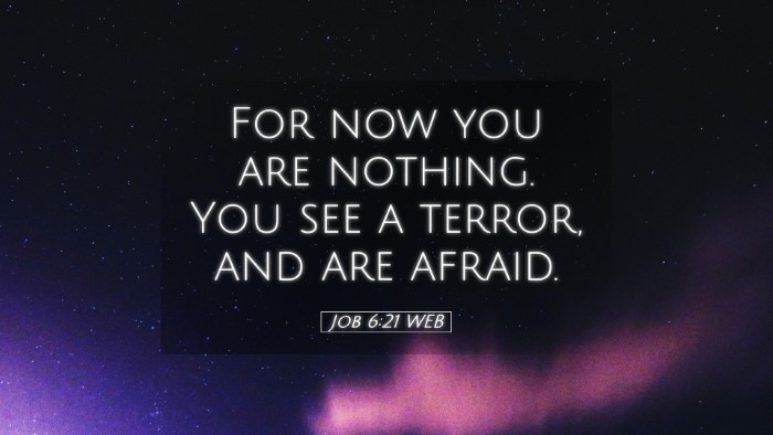 Picture 05 - Job 6:21 WEB Desktop Wallpaper - For now you are nothing. You see a terror, and - Desktop Bible Verse Wallpaper