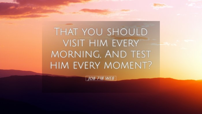 Picture 05 - Job 7:18 WEB Desktop Wallpaper - That you should visit him every morning, And test - Desktop Bible Verse Wallpaper