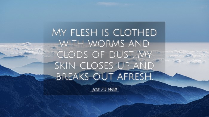 Picture 05 - Job 7:5 WEB Desktop Wallpaper - My flesh is clothed with worms and clods of dust. - Desktop Bible Verse Wallpaper