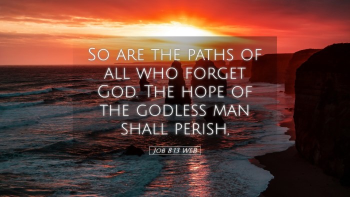 Picture 05 - Job 8:13 WEB Desktop Wallpaper - So are the paths of all who forget God. The hope - Desktop Bible Verse Wallpaper
