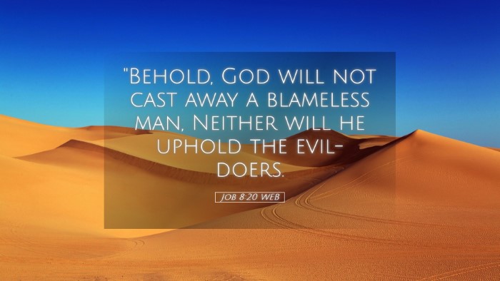 Picture 05 - Job 8:20 WEB Desktop Wallpaper - 