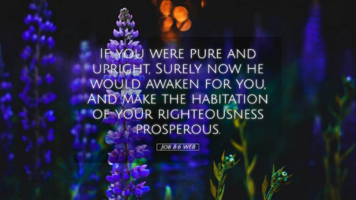 Picture 05 - Job 8:6 WEB Desktop Wallpaper - If you were pure and upright, Surely now he would - Desktop Bible Verse Wallpaper