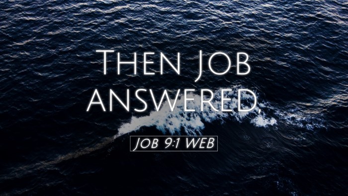 Picture 05 - Job 9:1 WEB Desktop Wallpaper - Then Job - Desktop Bible Verse Wallpaper
