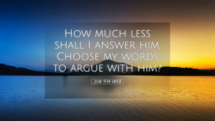 Picture 05 - Job 9:14 WEB Desktop Wallpaper - How much less shall I answer him, Choose my words - Desktop Bible Verse Wallpaper