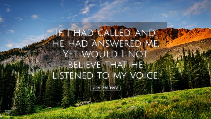 Picture 05 - Job 9:16 WEB Desktop Wallpaper - If I had called, and he had answered me, Yet - Desktop Bible Verse Wallpaper