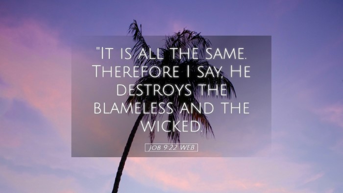 Picture 05 - Job 9:22 WEB Desktop Wallpaper - 