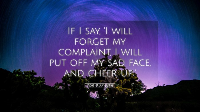 Picture 05 - Job 9:27 WEB Desktop Wallpaper - If I say, 'I will forget my complaint, I will put - Desktop Bible Verse Wallpaper