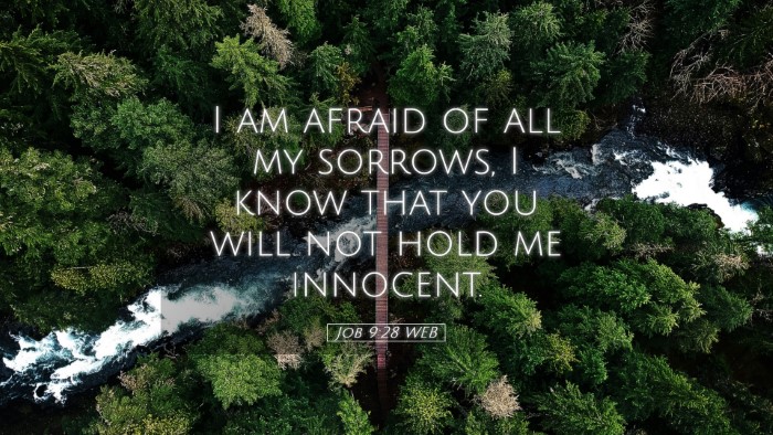 Picture 05 - Job 9:28 WEB Desktop Wallpaper - I am afraid of all my sorrows, I know that you - Desktop Bible Verse Wallpaper