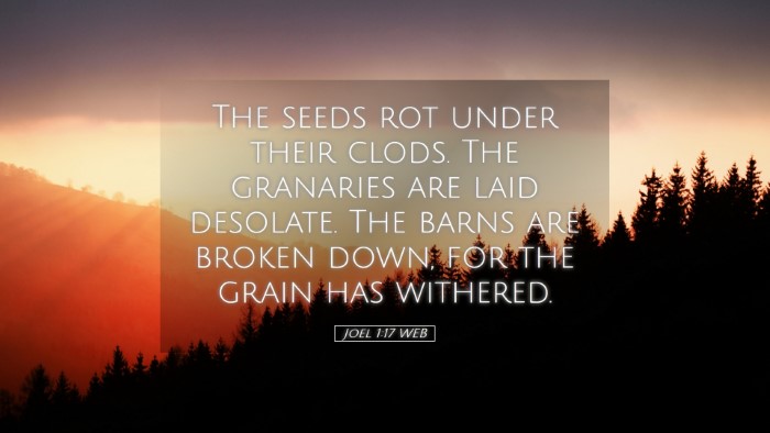 Picture 05 - Joel 1:17 WEB Desktop Wallpaper - The seeds rot under their clods. The granaries - Desktop Bible Verse Wallpaper