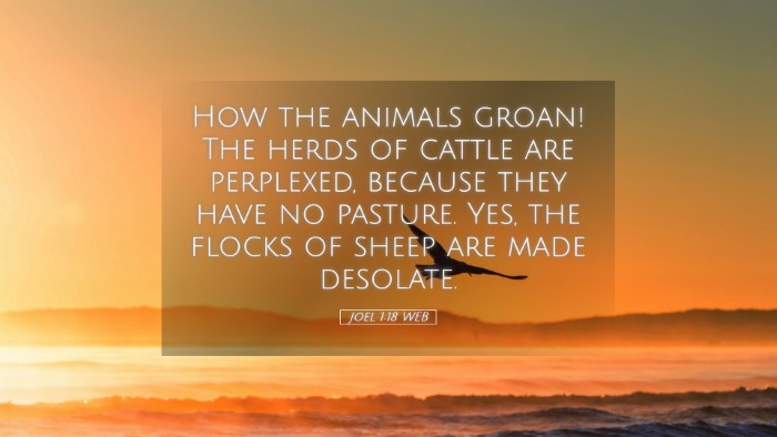 Picture 05 - Joel 1:18 WEB Desktop Wallpaper - How the animals groan! The herds of cattle are - Desktop Bible Verse Wallpaper