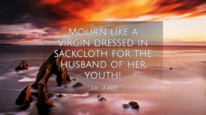 Picture 05 - Joel 1:8 WEB Desktop Wallpaper - Mourn like a virgin dressed in sackcloth for the - Desktop Bible Verse Wallpaper
