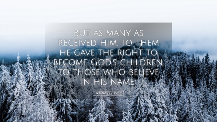 Picture 05 - John 1:12 WEB Desktop Wallpaper - But as many as received him, to them he gave the - Desktop Bible Verse Wallpaper