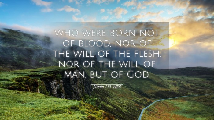 Picture 05 - John 1:13 WEB Desktop Wallpaper - who were born not of blood, nor of the will of - Desktop Bible Verse Wallpaper