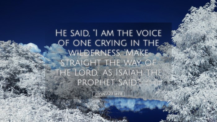 Picture 05 - John 1:23 WEB Desktop Wallpaper - He said, 