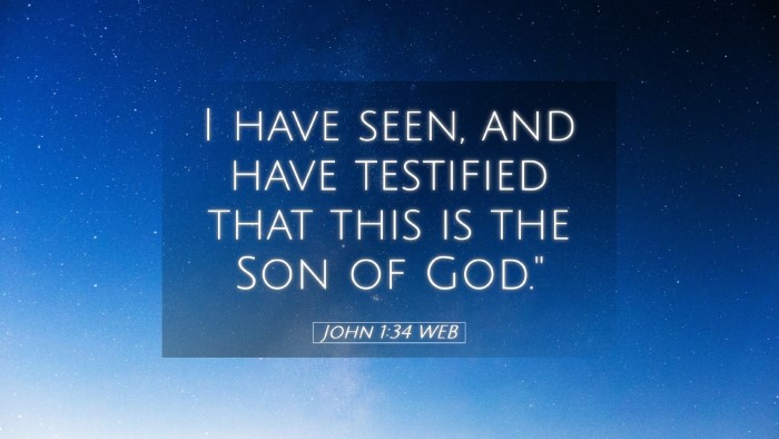 Picture 05 - John 1:34 WEB Desktop Wallpaper - I have seen, and have testified that this is the - Desktop Bible Verse Wallpaper