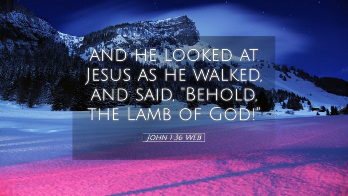 Picture 05 - John 1:36 WEB Desktop Wallpaper - and he looked at Jesus as he walked, and said, - Desktop Bible Verse Wallpaper
