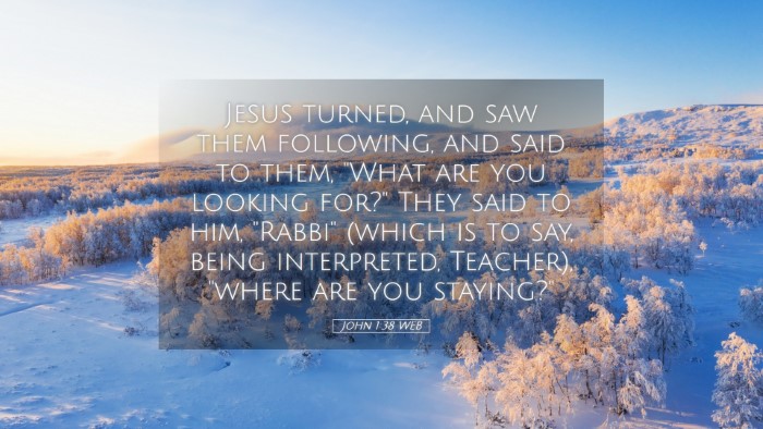 Picture 05 - John 1:38 WEB Desktop Wallpaper - Jesus turned, and saw them following, and said to - Desktop Bible Verse Wallpaper