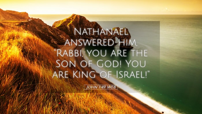 Picture 05 - John 1:49 WEB Desktop Wallpaper - Nathanael answered him, 