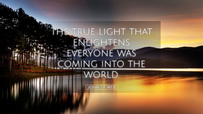 Picture 05 - John 1:9 WEB Desktop Wallpaper - The true light that enlightens everyone was - Desktop Bible Verse Wallpaper