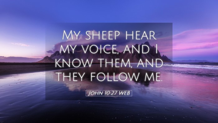 Picture 05 - John 10:27 WEB Desktop Wallpaper - My sheep hear my voice, and I know them, and they - Desktop Bible Verse Wallpaper