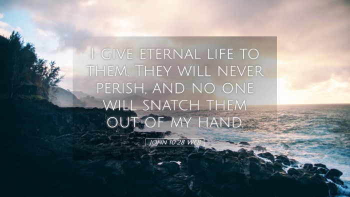 Picture 05 - John 10:28 WEB Desktop Wallpaper - I give eternal life to them. They will never - Desktop Bible Verse Wallpaper