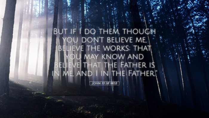 Picture 05 - John 10:38 WEB Desktop Wallpaper - But if I do them, though you don't believe me, - Desktop Bible Verse Wallpaper