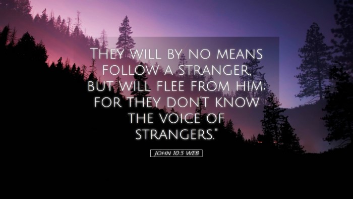 Picture 05 - John 10:5 WEB Desktop Wallpaper - They will by no means follow a stranger, but will - Desktop Bible Verse Wallpaper