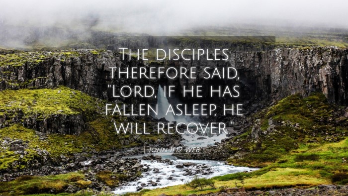 Picture 05 - John 11:12 WEB Desktop Wallpaper - The disciples therefore said, 