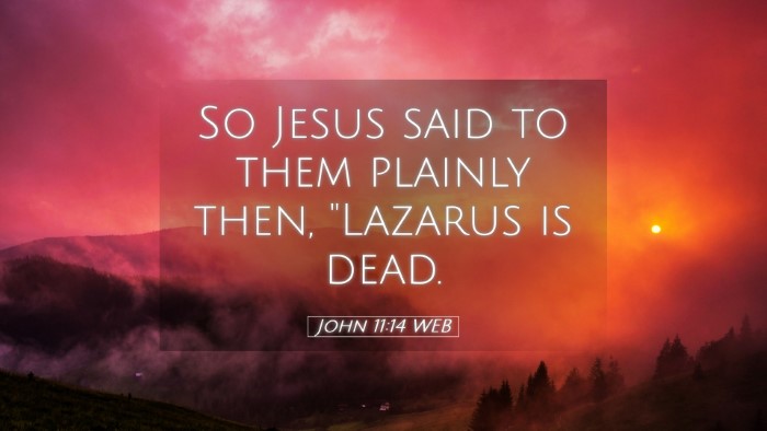 Picture 05 - John 11:14 WEB Desktop Wallpaper - So Jesus said to them plainly then, 